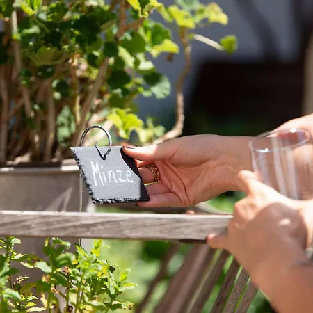 Haus Engelbert شقة Hochheim