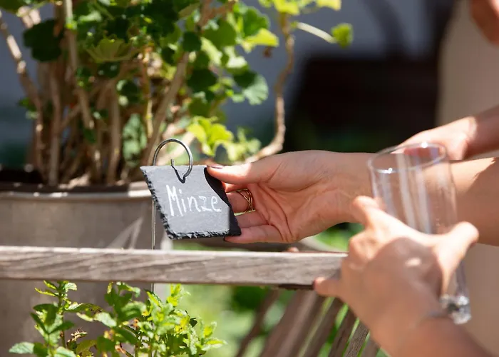 Haus Engelbert شقة Hochheim