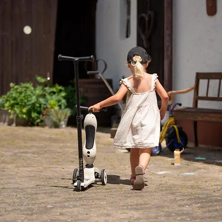 Haus Engelbert Apartment Hochheim